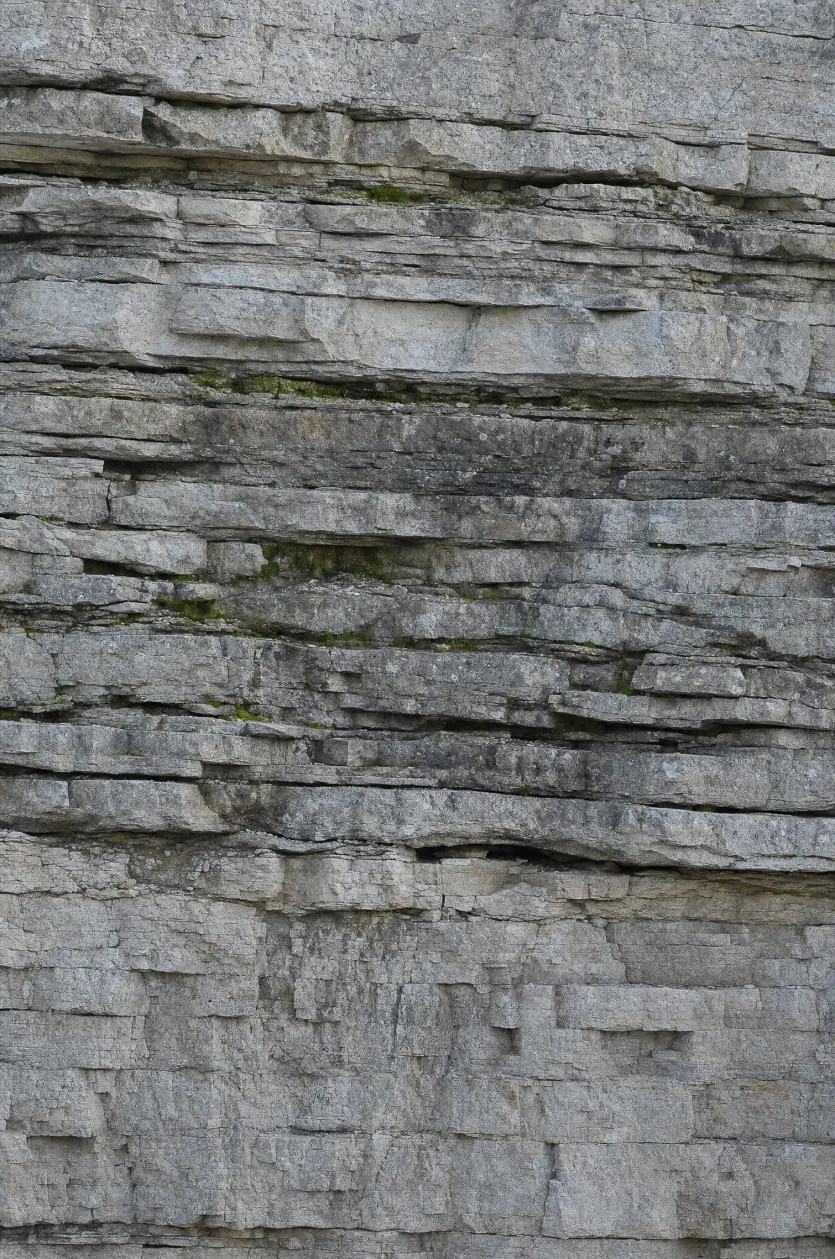 Layered grey limestone strata of the Niagara Escarpment with moss in the seams